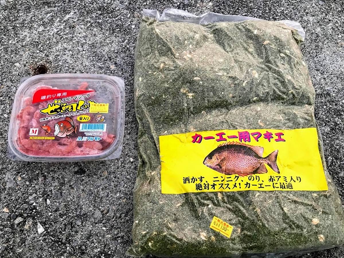 強烈な引き 沖縄を代表する カーエー ゴマアイゴ を垂らし釣りで狙う方法 美味しい食べ方 Oretsuri 俺釣