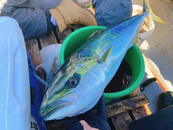 釣り納め釣行 走水 観音崎沖のタチウオは安定釣果で 横須賀大津港いなの丸 Oretsuri 俺釣