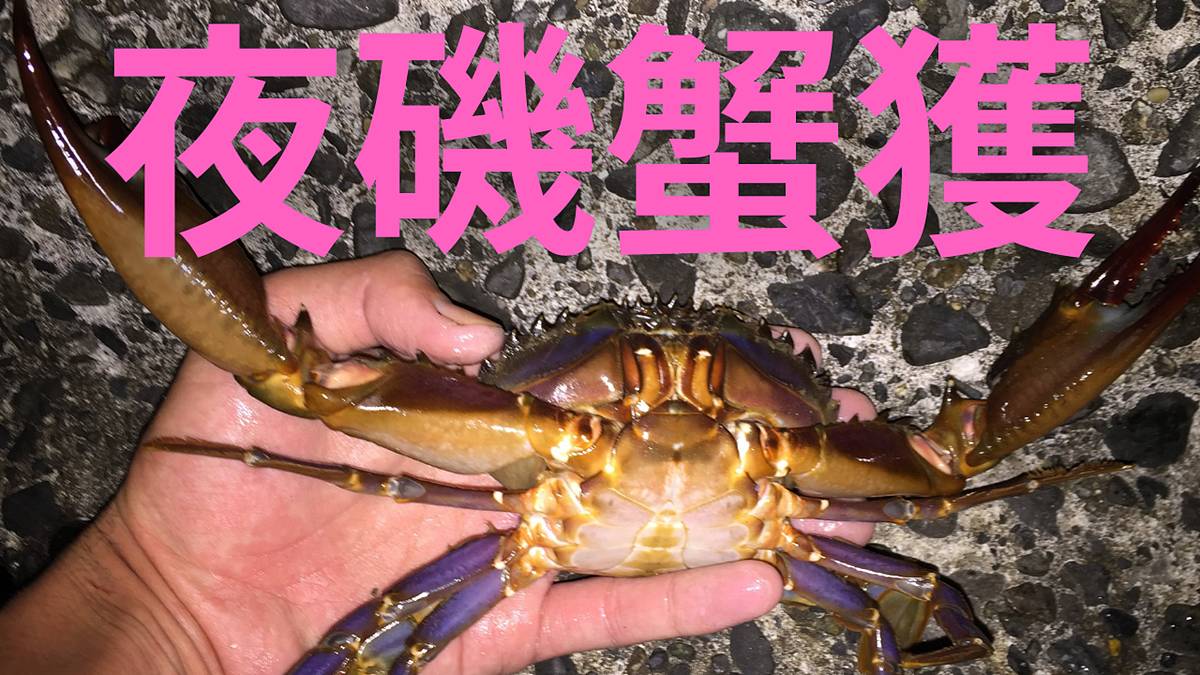 夜磯蟹獲 1 W10 Oretsuri 俺釣 夜磯蟹獲 1 W10 Oretsuri 俺釣