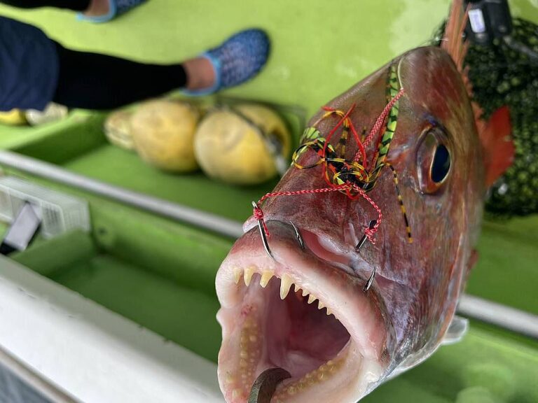 【超便利】ドラグ調整が重要な釣りは「ドラグチェッカー」を使うと安心！使い方・インプレ ORETSURI｜俺釣