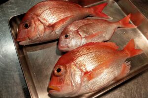 青魚 赤身の魚を釣って食べる人は ヒスタミン 食中毒に注意 原因 症状 対策 Oretsuri 俺釣