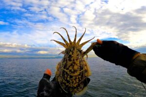 実録 チヌ釣りでテトラポッドから落ちてマジで死にかけた話 Oretsuri 俺釣
